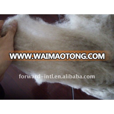 100% raw goat mongolia pashmina cashmere wool fiber